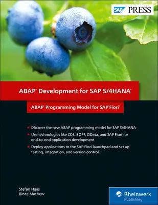 Model de programare ABAP pentru SAP Fiori: Dezvoltare ABAP pentru SAP S/4hana - ABAP Programming Model for SAP Fiori: ABAP Development for SAP S/4hana