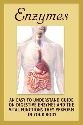 Enzime: Un ghid ușor de înțeles privind enzimele digestive și funcțiile vitale pe care le îndeplinesc în corpul dumneavoastră - Enzymes: An Easy To Understand Guide On Digestive Enzymes And The Vital Functions They Perform In Your Body