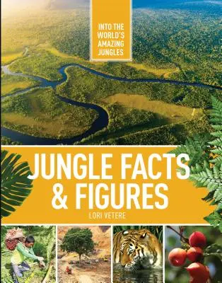 Fapte și cifre despre junglă - Jungle Facts & Figures
