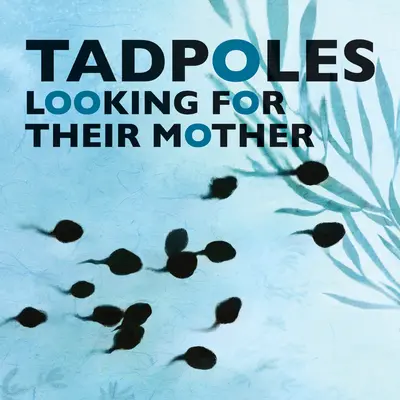 Mormolocii își caută mama - Tadpoles Looking for Their Mother