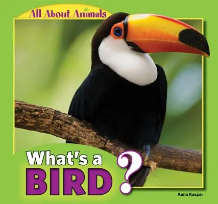 Ce este o pasăre? - What's a Bird?