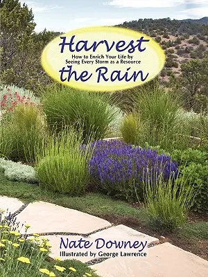 Recoltarea ploii - Harvest the Rain