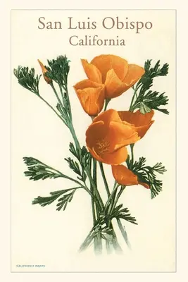 Jurnalul Vintage San Luis Obispo, California Poppies - The Vintage Journal San Luis Obispo, California Poppies