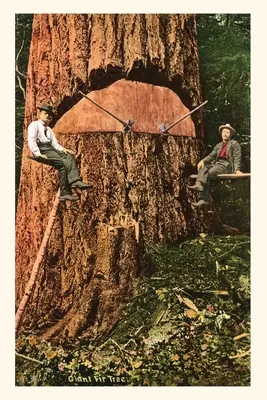 Jurnal de epocă Brad uriaș - Vintage Journal Giant Fir Tree