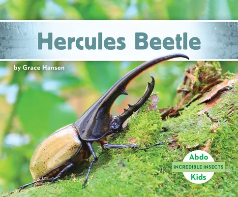 Hercule Beetle - Hercules Beetle