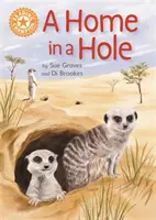Campion la lectură: A Home in a Hole - Lectură independentă Orange 6 Non-ficțiune - Reading Champion: A Home in a Hole - Independent Reading Orange 6 Non-fiction
