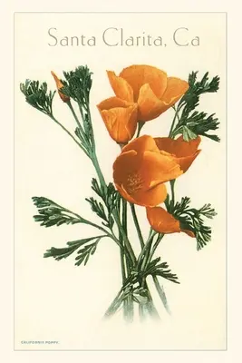 Jurnalul Vintage California Poppy, Santa Clarita - The Vintage Journal California Poppy, Santa Clarita