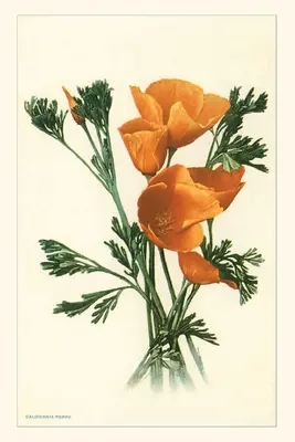 Jurnal de epocă California Poppies - The Vintage Journal California Poppies