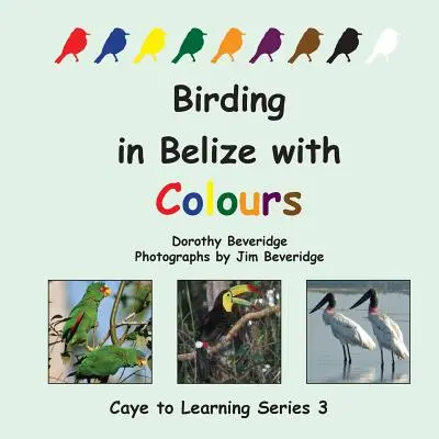 Observarea păsărilor în Belize cu ajutorul culorilor - Birding in Belize with Colours