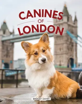 Canini din Londra (Fotografie canină, cadou pentru iubitorii de câini) - Canines of London (Dog Photography, Dog Lovers Gift)