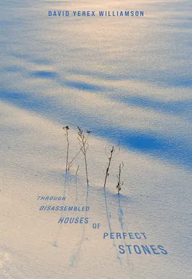 Prin case dezasamblate de pietre perfecte - Through Disassembled Houses of Perfect Stones