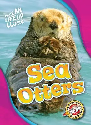 Vidre de mare - Sea Otters