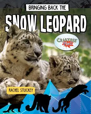 Aducerea înapoi a leopardului de zăpadă - Bringing Back the Snow Leopard