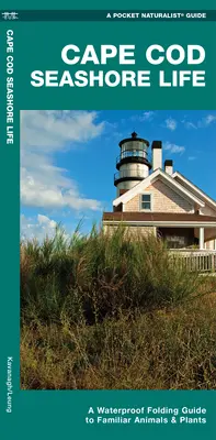 Cape Cod Seashore Life - Un ghid pliabil impermeabil pentru animale și plante familiare - Cape Cod Seashore Life - A Waterproof Folding Guide to Familiar Animals & Plants