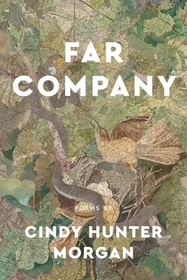 Compania Far - Far Company