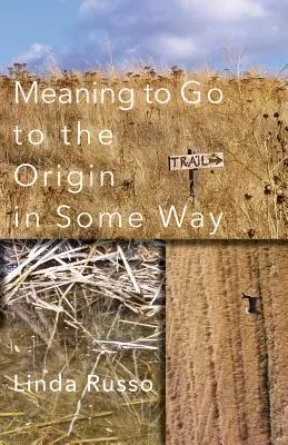 Înțelesul de a merge la origine într-un anumit fel - Meaning to Go to the Origin in Some Way