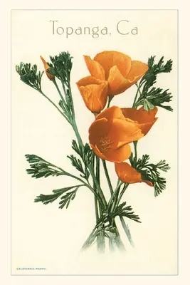 Jurnalul Vintage Poppies, Topanga, California - The Vintage Journal Poppies, Topanga, California