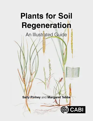 Plante pentru regenerarea solului: Un ghid ilustrat - Plants for Soil Regeneration: An Illustrated Guide