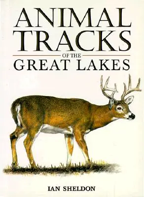 Urme de animale din regiunea Marilor Lacuri - Animal Tracks of the Great Lakes