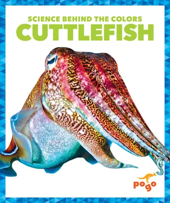 Sepie - Cuttlefish