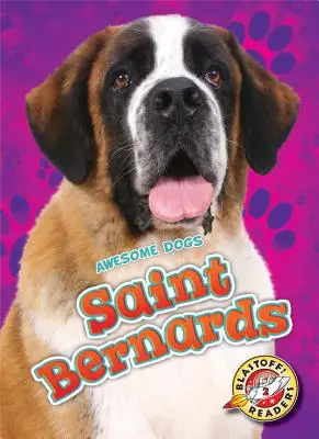 Saint Bernard - Saint Bernards