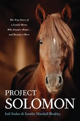 Proiectul Solomon: Povestea adevărată a unui cal singuratic care și-a găsit o casă și a devenit erou - Project Solomon: The True Story of a Lonely Horse Who Found a Home--And Became a Hero