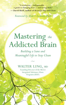 Mastering the Addicted Brain: Construirea unei vieți sănătoase și pline de sens pentru a rămâne curat - Mastering the Addicted Brain: Building a Sane and Meaningful Life to Stay Clean