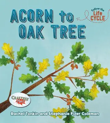 De la ghindă la stejar - Acorn to Oak Tree