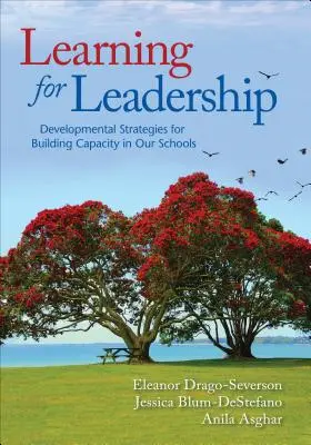 Învățarea pentru leadership: Strategii de dezvoltare pentru consolidarea capacității în școlile noastre - Learning for Leadership: Developmental Strategies for Building Capacity in Our Schools