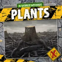 Plante - Plants