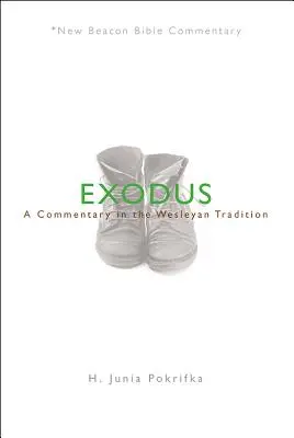 Nbbc, Exodul: Un comentariu în tradiția wesleyană - Nbbc, Exodus: A Commentary in the Wesleyan Tradition