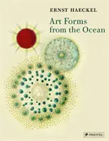 Forme de artă din ocean: Amprentele radiolariane ale lui Ernst Haeckel - Art Forms from the Ocean: The Radiolarian Prints of Ernst Haeckel