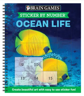 Brain Games - Sticker by Number: Ocean Life (Easy - Stickere pătrate): Creează o artă frumoasă cu ajutorul autocolantelor distractive ușor de folosit! - Brain Games - Sticker by Number: Ocean Life (Easy - Square Stickers): Create Beautiful Art with Easy to Use Sticker Fun!