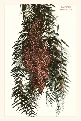 Jurnalul Vintage California Pepper Berries - The Vintage Journal California Pepper Berries