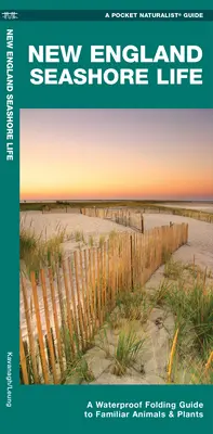 New England Seashore Life - Un ghid pliabil impermeabil pentru animale și plante familiare - New England Seashore Life - A Waterproof Folding Guide to Familiar Animals & Plants