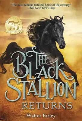 Black Stallion se întoarce - The Black Stallion Returns