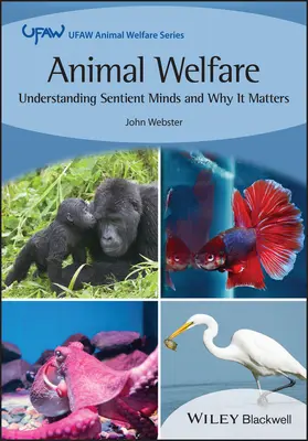 Bunăstarea animalelor: Înțelegerea minților simțitoare și de ce este importantă - Animal Welfare: Understanding Sentient Minds and Why It Matters