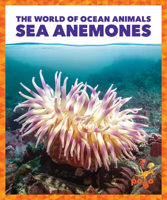 Anemone de mare - Sea Anemones