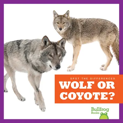 Lup sau coiot? - Wolf or Coyote?