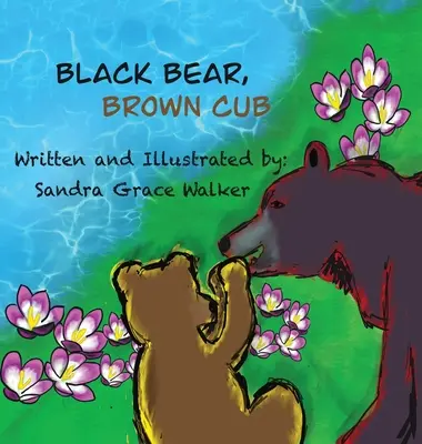 Ursul negru, puiul maro - Black Bear, Brown Cub