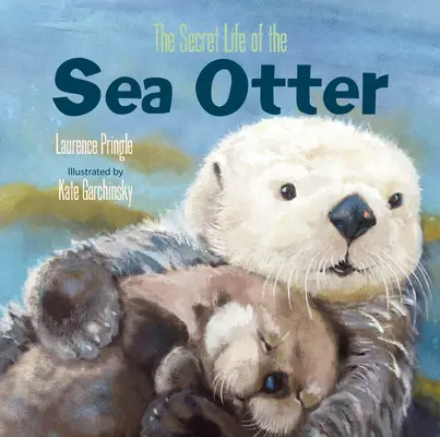 Viața secretă a vidrei de mare - The Secret Life of the Sea Otter