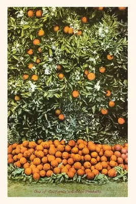 Jurnalul Vintage Orange Grove - The Vintage Journal Orange Grove