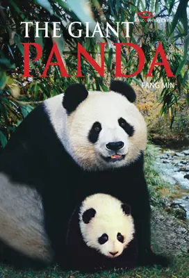 Panda gigant - Descoperirea Chinei - Giant Panda - Discovering China