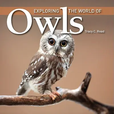 Explorarea lumii bufnițelor - Exploring the World of Owls