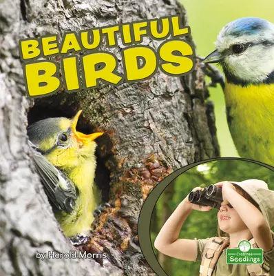 Păsări frumoase - Beautiful Birds