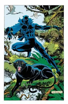 Pantera Neagră: Panther's Quest - Black Panther: Panther's Quest