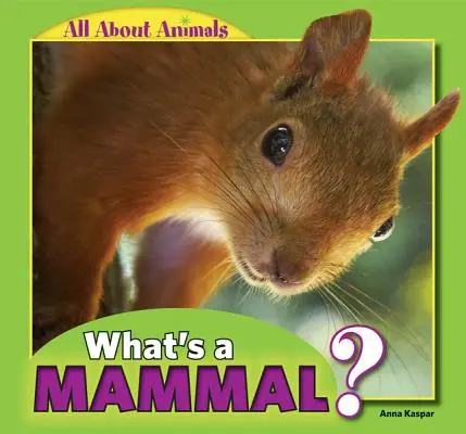 Ce este un mamifer? - What's a Mammal?