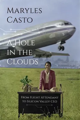 O gaură în nori: De la însoțitor de bord la CEO în Silicon Valley - A Hole in the Clouds: From Flight Attendant to Silicon Valley CEO