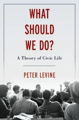 Ce ar trebui să facem: Teorie politică pentru cetățeni - What Should We Do: Political Theory for Citizens