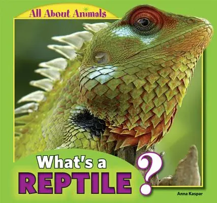 Ce este o reptilă? - What's a Reptile?